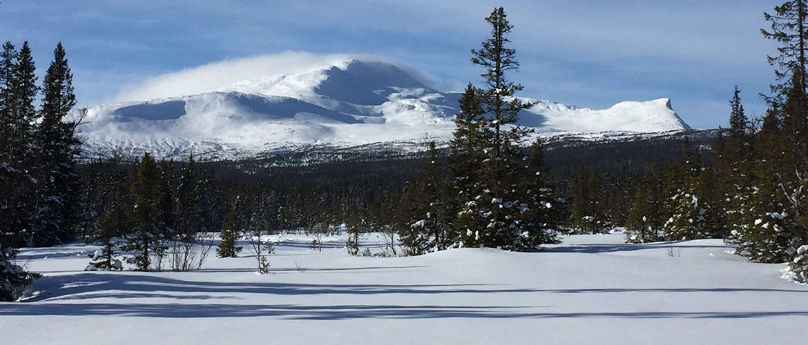 Vy över Mullfjället, Ullådalen, Åre, Jämtland